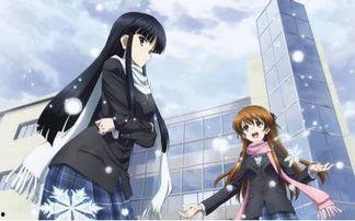 白色相簿2在线观看,青春回忆与命运交织的旋律